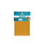 Papel Seda Dorado X 3 Und